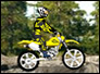 Jouer  Dirt Bike 2