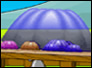 Van Jellies