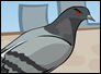 Pigeon's Revenge