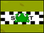 Frog Race